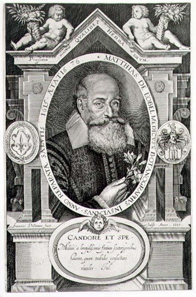 Porträt von Matthias de Lobel (1538-1622) graviert vom Künstler von Francis Delaram