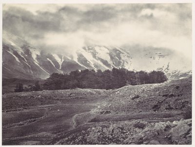Fernsicht auf die Zedern des Libanon von Francis Frith