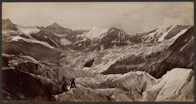 Das Eismeer: Grindelwald von Francis Frith