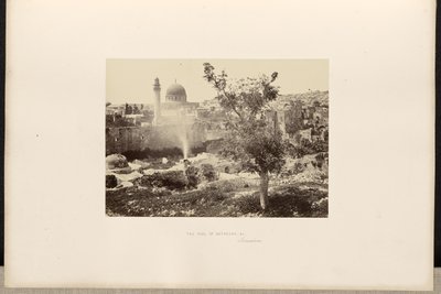 Der Teich von Bethesda, &c., Jerusalem von Francis Frith