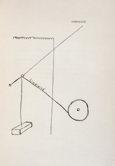 Libelle von Francis Picabia