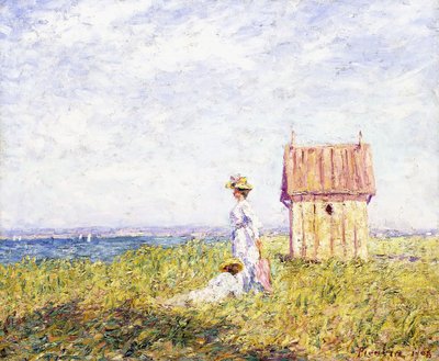 Zwei Frauen am Meer von Francis Picabia