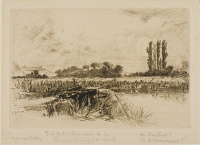 Eine Wasserwiese von Francis Seymour Haden