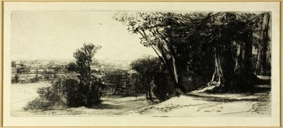 Früher Morgen, Richmond Park von Francis Seymour Haden