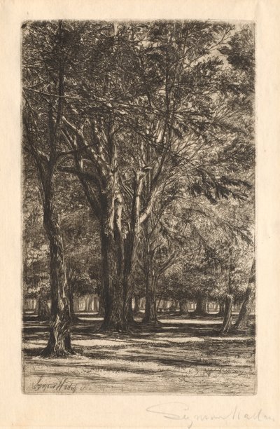 Kensington Gardens, Nr. 2 Große Platte, 1860 von Francis Seymour Haden