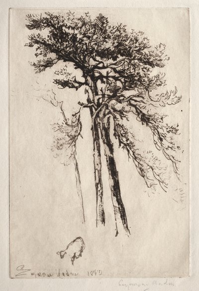 Der neueste Baum von Francis Seymour Haden