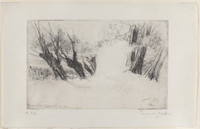 Der Liebesweg, Nr. I von Francis Seymour Haden