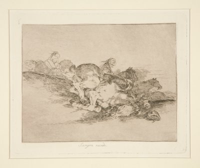 Es passiert immer, pl. 8 aus Los desastres de la guerra (Die Schrecken des Krieges) von Francisco de Goya
