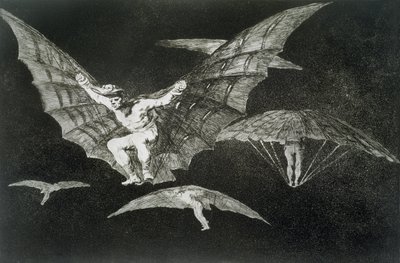 Eine Art zu fliegen, Platte 13 aus 