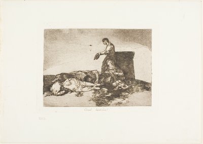 Grausame Leidensgeschichte!, Tafel 48 aus Die Schrecken des Krieges von Francisco Jose de Goya y Lucientes
