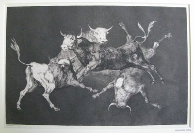 Disparate de tontos von Francisco Jose de Goya y Lucientes