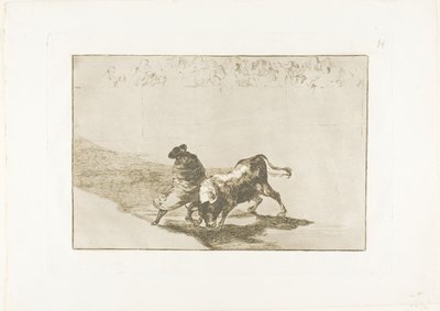 Der sehr geschickte Schüler von Falces, in seinen Umhang gehüllt, täuscht den Stier mit dem Spiel seines Körpers, Platte 14 aus Die Kunst des Stierkampfs von Francisco Jose de Goya y Lucientes