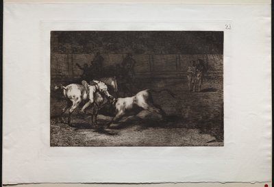 Stierkämpfe: Mariano Ceballos, alias der Indianer, tötet den Stier von seinem Pferd aus von Francisco de Goya