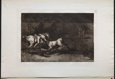 Stierkämpfe: Mariano Ceballos, alias der Indianer, tötet den Stier von seinem Pferd aus, 1876 von Francisco de Goya