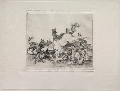 Die Schrecken des Krieges: Er verteidigt sich gut von Francisco de Goya