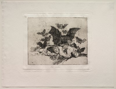 Die Schrecken des Krieges: Die Konsequenzen von Francisco de Goya
