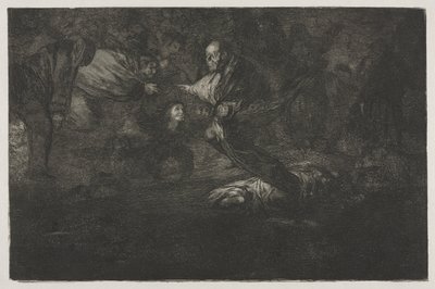 Die Sprichwörter: Gott erschafft sie und sie fügen sich zusammen von Francisco de Goya