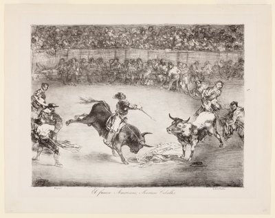 Der berühmte Amerikaner Mariano Ceballos. Die Stiere von Bordeaux von Francisco de Goya