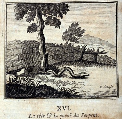 Der Kopf und der Schwanz der Schlange. Fabeln von Jean de La Fontaine (1621-95). Illustration von François Chauveau (1613-1676). Ausgabe von 1728 von Francois Chauveau