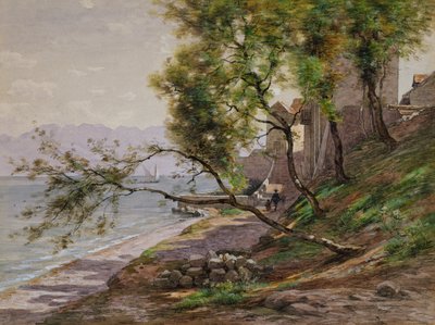 Am Ufer des Genfersees von Francois Furet