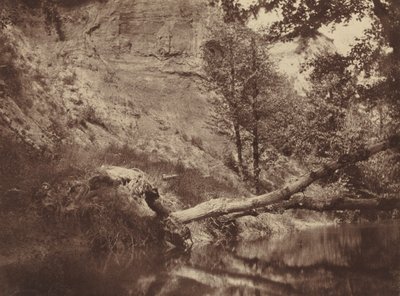 Flussufer, ca. 1855 (Foto) von Frank Chauvassaigne