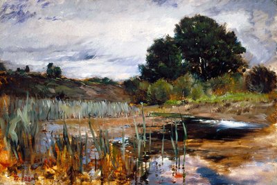 Landschaft von Polling von Frank Duveneck