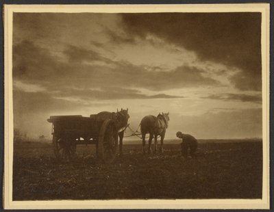 Unter den Rüben von Frank Meadow Sutcliffe