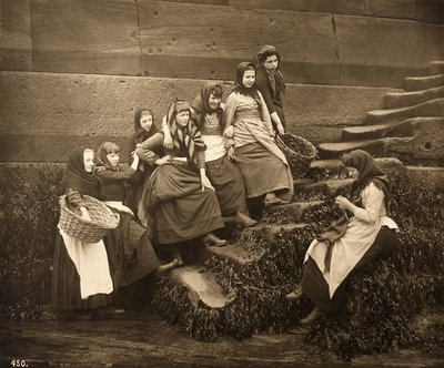 Frauen warten auf den Fang des Tages, Whitby Harbour, North Yorkshire, ca. 1899 von Frank Meadow Sutcliffe