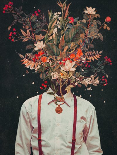 Laub von Frank Moth