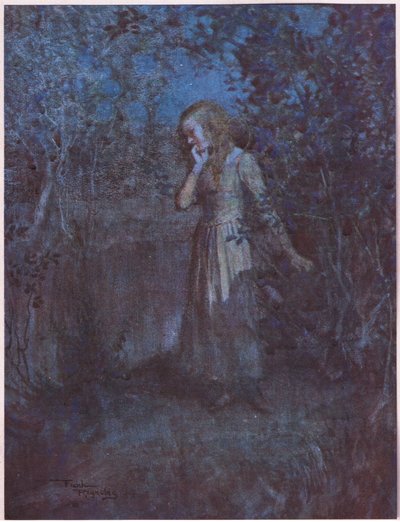 Das Licht war in Dunkelheit übergegangen und der Abend vertiefte sich in die Nacht, ca. 1920 von Frank Reynolds
