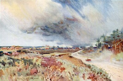 Heide bei Sandringham von Frank Southgate