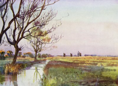 Norfolk Broads: Marschland bei Barton von Frank Southgate
