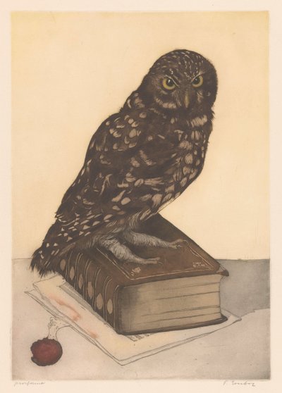 Eule auf einem Buch sitzend von Frans Everbag (signed by artist)