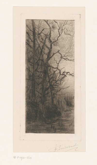 Bäume am Wasser von Frans Smissaert (signed by artist)