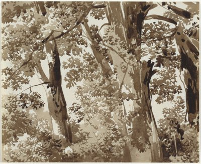 Bäume mit dichtem Unterholz von Franz Innocenz Josef Kobell