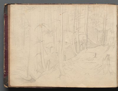 Album mit Ansichten von Rom und Umgebung, Landschaftsstudien, Seite 01b: Römische Landschaft von Franz Johann Heinrich Nadorp