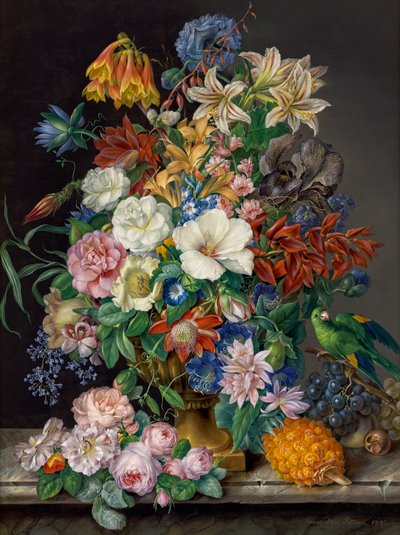  von Franz Xavier Petter