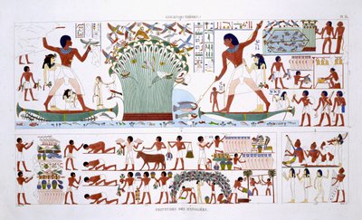 Zubereitung von Speisen für die Toten, aus einem seltenen Bericht über Fresken aus Theben, aufgezeichnet 1819-1822 bei seinem zweiten Besuch in Ägypten von Frederic Cailliaud von Frederic (after) Cailliaud