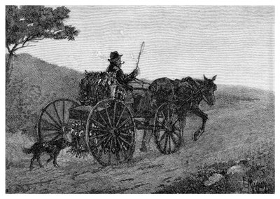 Ein Colac-Kaninchenfänger, 1886 von Frederic B. Schell