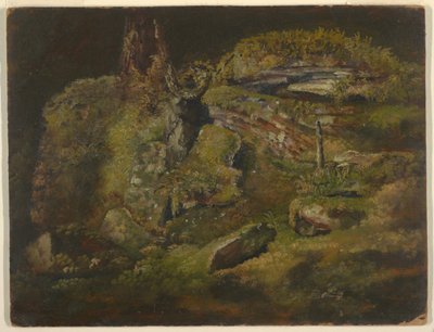 Zeichnung, Fels im Wald, ca. 1845 von Frederic Edwin Church
