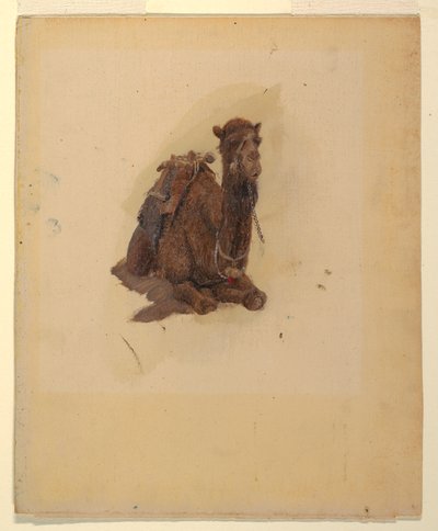 Kauernder Dromedar, 1868 von Frederic Edwin Church