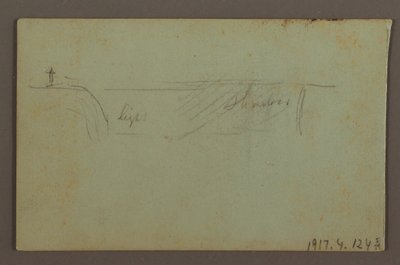 Blühende Pflanze und ein Felsen zwischen den amerikanischen und kanadischen Fällen bei Niagara, möglicherweise 1858 von Frederic Edwin Church