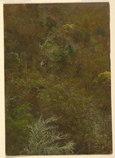 Hügel mit Büschen und Bäumen bedeckt, Juli 1865 von Frederic Edwin Church