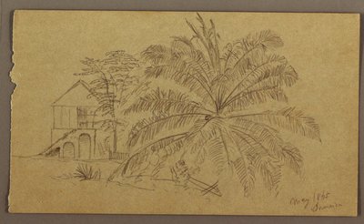 Haus und Farn von Frederic Edwin Church