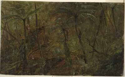 Zeichnung, In den Wäldern von Jamaika, Westindische Inseln, 1865 von Frederic Edwin Church