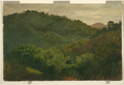 Landschaft aus Jamaika, Westindische Inseln, 1865 von Frederic Edwin Church