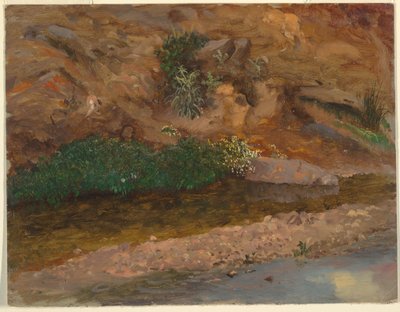 Zeichnung, Rand eines Baches, 1860-70 von Frederic Edwin Church