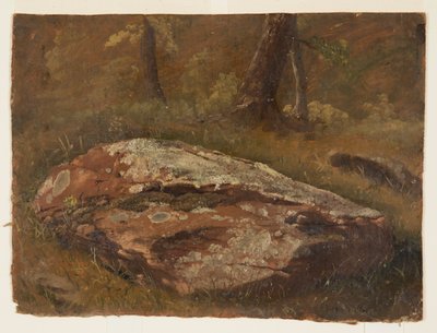 Moosiger Felsen von Frederic Edwin Church