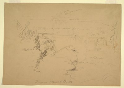 Zeichnung, Niagarafälle, Blick von Goat Island, 19. März 1856 von Frederic Edwin Church