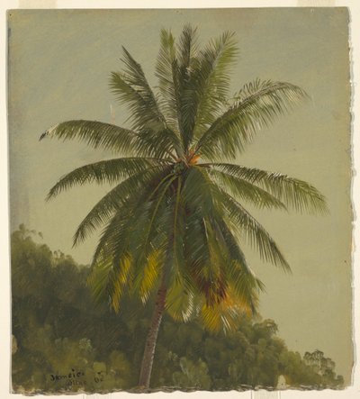 Palmen, Westindien, Juni 1865 von Frederic Edwin Church